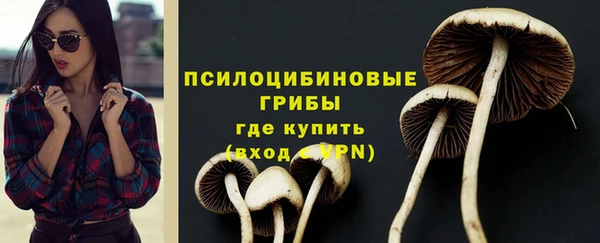 дурь Горнозаводск