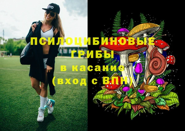 дурь Вязьма