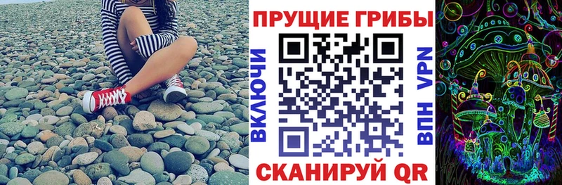 цены наркотик  Воронеж  Галлюциногенные грибы Cubensis 